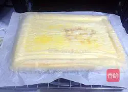 Yoghurt cake roll recipe 19