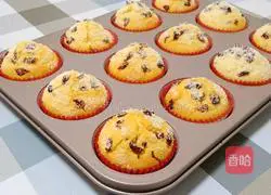 Cranberry Muffin Cake Recipe Illustration 17