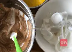 Zebra pattern chiffon cake recipe 9