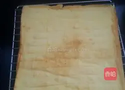 Pumpkin Honey Cake Roll Recipe Illustration 20