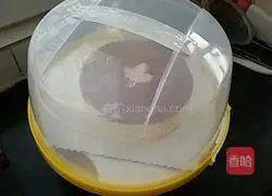 Tiramisu Cake Recipe Illustration 19