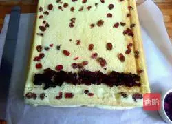 Cranberry Jam Cake Roll Recipe Illustration 18