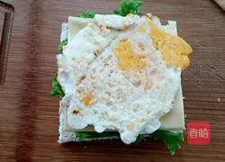 Cheese and ham sandwich recipe 7