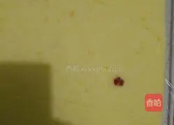 Tiger skin Cake roll recipe 15