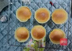 Illustration of how to make cup cream cake 14