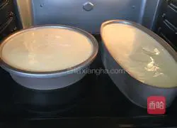 Yoghurt cheesecake recipe 13