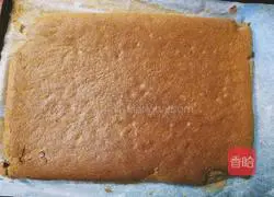 Cocoa Cake Roll Recipe Illustration 8