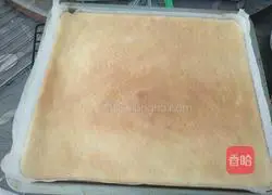 Lemon Chocolate Sauce Cake Roll Recipe Illustration 16