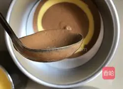 Marbled Chiffon Cake Recipe Illustration 13