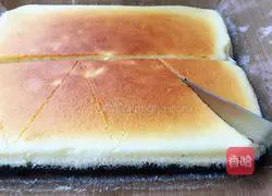 Rum cheesecake recipe 10