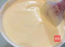 Sanhua evaporated milk chiffon cake recipe 9