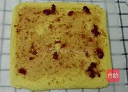 Double Berry Cake Roll Recipe Illustration 18