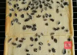 Illustration of how to make raisin cake rolls 15