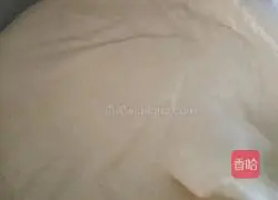 Whole egg sponge cake recipe 7