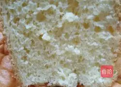 Zero basic sponge cake recipe 9