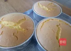 Sponge Cake Illustration of how to do it 7