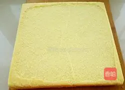French sponge cake recipe 11
