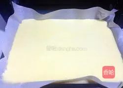 Yoghurt Cake Roll Recipe Illustration 16