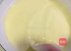 Marble Chiffon Cake Recipe Illustration 9