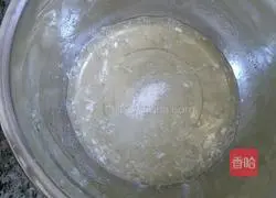 Rice Noodle Yogurt Chiffon Cake Recipe Illustration 5