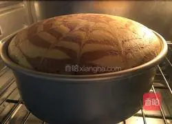 Illustration of how to make zebra pattern chiffon cake 18