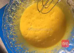 8 inches of soil Illustration of how to make egg yogurt chiffon cake 10