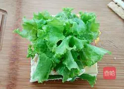 Cheese and ham sandwich recipe 9