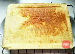 Strawberry jam cake roll recipe 11