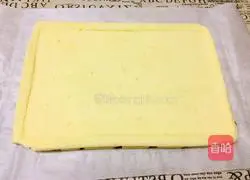 Pattern cake roll recipe 21