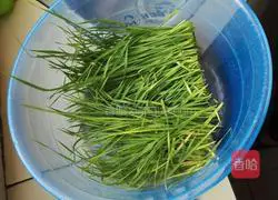 Illustration of making wheatgrass fresh meat pie 2