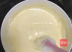 Illustration of handmade light cheesecake 16