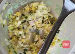 Wheatgrass fresh meat pie recipe 7