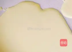 Mango Pancake Recipe Illustration 5