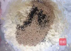 Sea Salt Crispy Sesame Cake Recipe Illustration 2