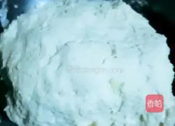 Illustration of home-style scallion pancakes 1