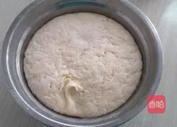 Illustration of how to make cabbage meat pie 1