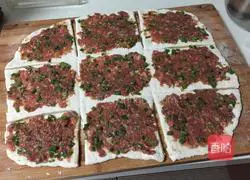 Illustration of how to make pan-fried beef patties 5