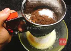 Cocoa Cranberry Cake Roll Recipe Illustration 5