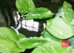 Illustration of how to make vegetable egg pancake 4