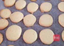 Illustration of how to make egg pancakes 5