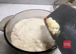 Garlic Orleans Chicken Patties Recipe 9