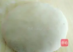 Leek Pancake Recipe Illustration 13