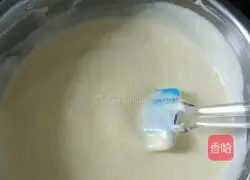 Marble Light Cheesecake Recipe Illustration 9