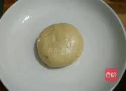 Sophora cauliflower pancake recipe 10