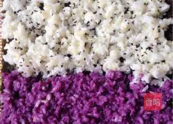 Private Illustration of cooking sushi 4