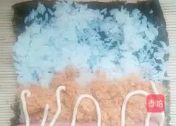 Illustration of how to make meat floss sushi 6