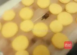 Pumpkin pie recipe 2