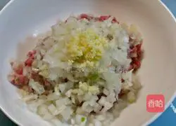 Onion and beef pie recipe 1