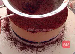 Italian Dessert ~ Tiramisu Recipe Illustration 15