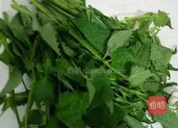 Illustration of how to make fried egg pancakes with wormwood sauce 1